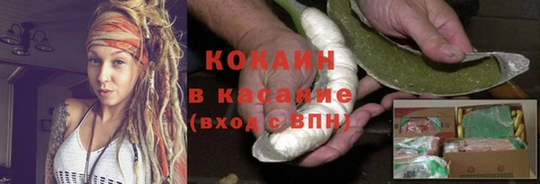 шишки Балабаново