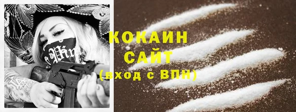 шишки Балабаново