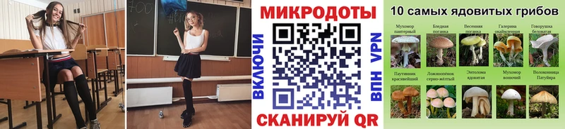 дарнет шоп  Лаишево  Псилоцибиновые грибы GOLDEN TEACHER 